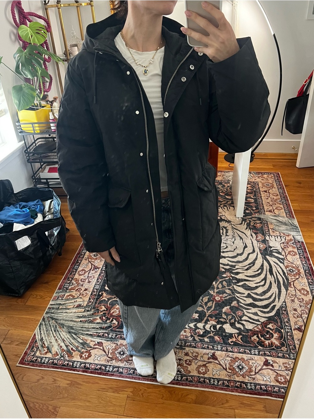 Everlane Black Long Puffer Jacket with Hood